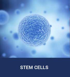 Stem Cell Institute of Texas